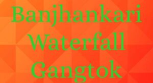 WhatsApp Image 2023-10-15 at 8.02.11 PM
